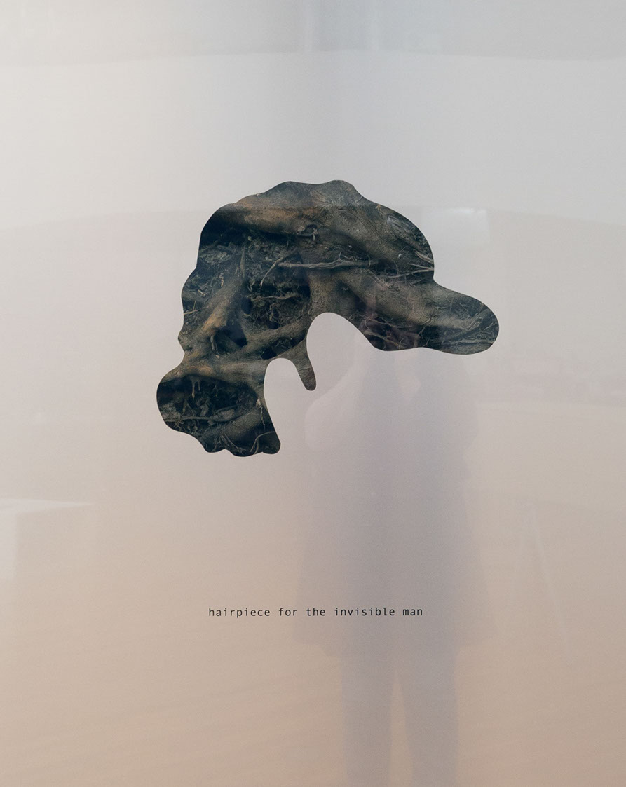 Caterina Verde - hairpiece for the invisible man